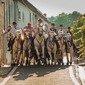 Photo Camargue, sous les sabots