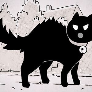 Photo Putain de chat !
