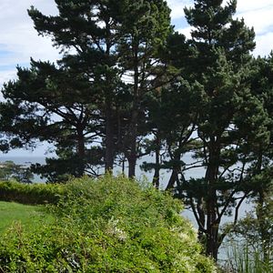 Photo L'Esprit de l'Arcouest, raconté par Hélène Langevin-Joliot