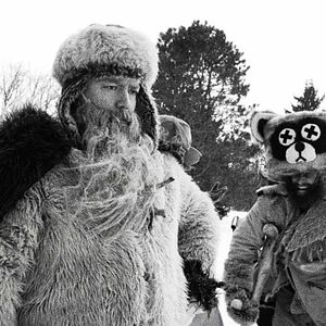 Photo Hundreds Of Beavers