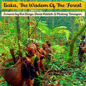 Photo Baka - The wisdom of the forest