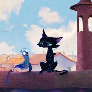 Photo Nero, chat noir