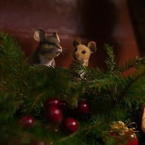 Photo Panique à Noël 