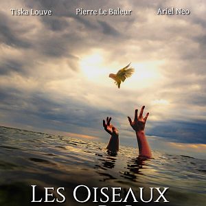 Photo Les Oiseaux de Pluie