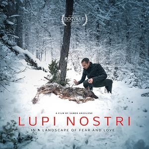 Photo Lupi Nostri