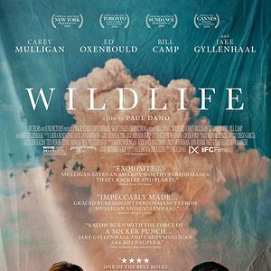 Photo Wildlife - Une saison ardente