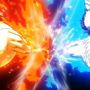 Photo Rooster Fighter