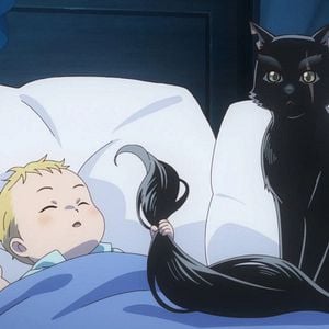 Photo Cats and Dragon