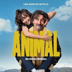 Photo Véto des villes