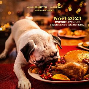 Photo Les Boules de Noël