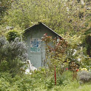 Photo La Terre des vertus