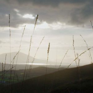 Photo Le Prêtre du Rosaire