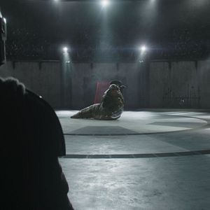 Photo Star Wars: The Mandalorian and Grogu