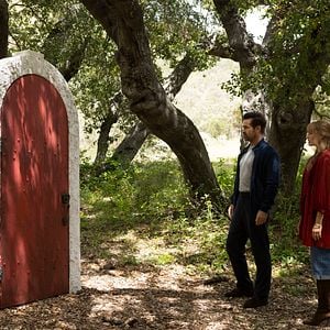 Photo A Big Bold Beautiful Journey