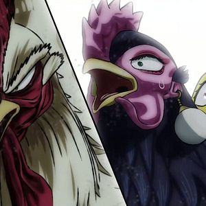 Photo Rooster Fighter