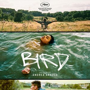 Photo Bird