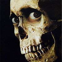 Photo Evil Dead 2