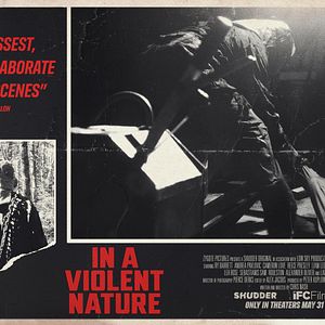 Photo In A Violent Nature