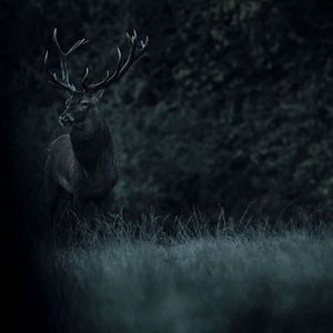 Photo Argoat