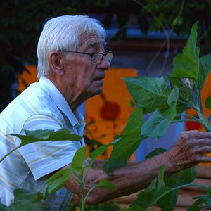 Photo Le Jardinier de ces dames