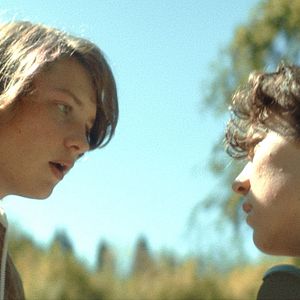 Photo No Dogs Allowed