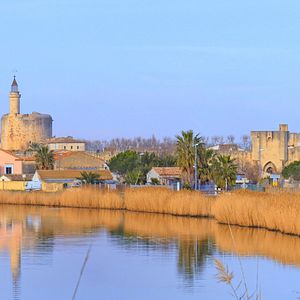 Photo Camargue, sous les sabots