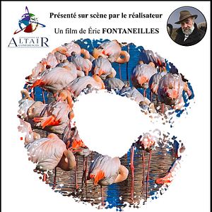 Photo Camargue, sous les sabots