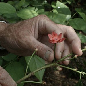 Photo Sept promenades avec Mark Brown