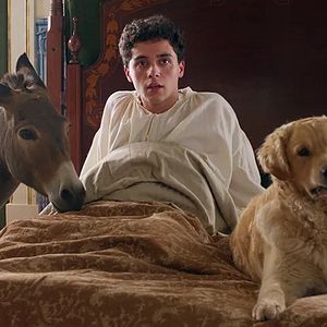 Photo L'Arbre de la connaissance