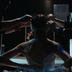 Photo Swan Song : Un nouveau "Lac des cygnes"