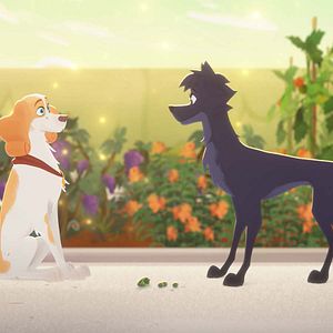 Photo Belfort et Lupin