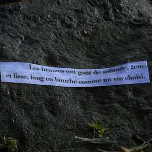 Photo Dansons tant qu’on n’est pas mort