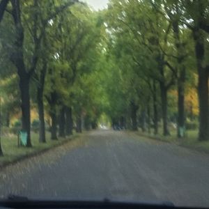 Photo Le Sentier des absents