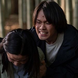 Photo Le pays de Tanabata