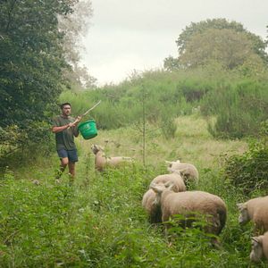 Photo Les Agités du bocage