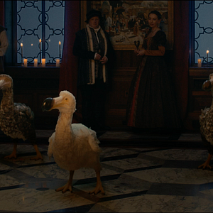 Photo The Ugly Chickens