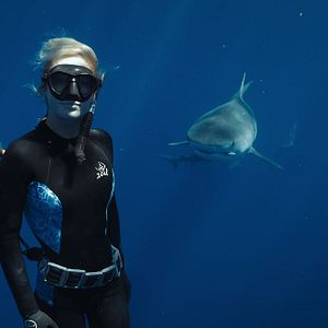 Photo En paix avec les requins