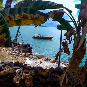 Photo Guyane, une pépite en Amazonie