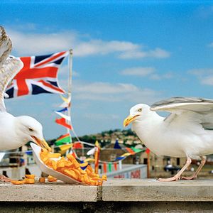 Photo I Am Martin Parr