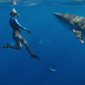Photo En paix avec les requins