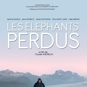 Photo Les Éléphants perdus