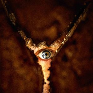 Photo Retour à Silent Hill 