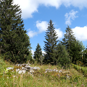 Photo Au cœur des parcs naturels régionnaux de Rhône-Alpes-Auvergne