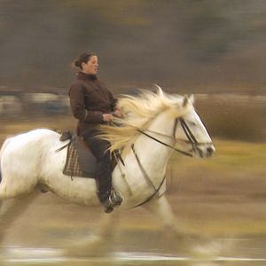 Photo Camargue, sous les sabots