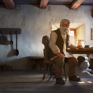 Photo Heidi et le lynx des montagnes