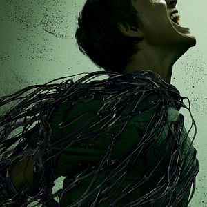 Photo Chair de poule