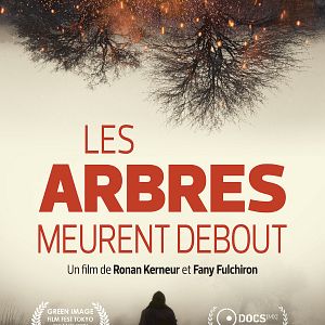 Photo Les Arbres meurent debout