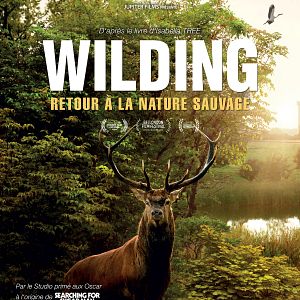 Photo Wilding, Retour à la Nature Sauvage