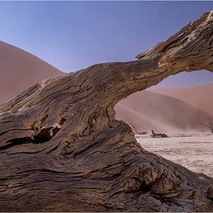 Photo ALTAÏR conférences - Namibie, époustouflante par nature