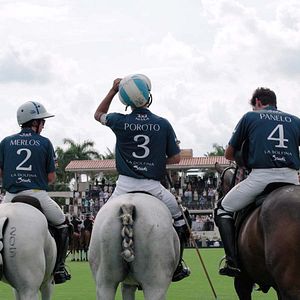 Photo Polo
